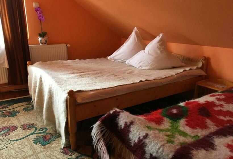 バスルーム共有のトリプルスタンダード, Pensiunea Gentiana