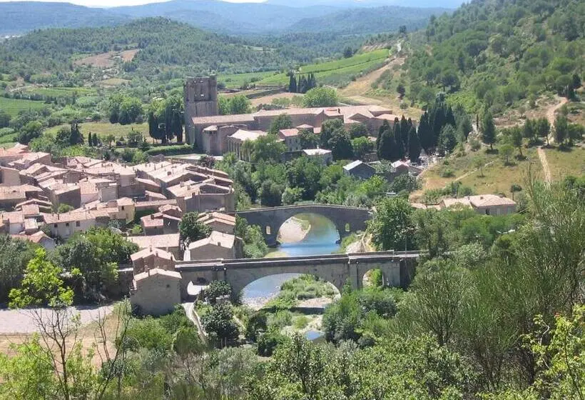スタンダードルーム, Chez Shona