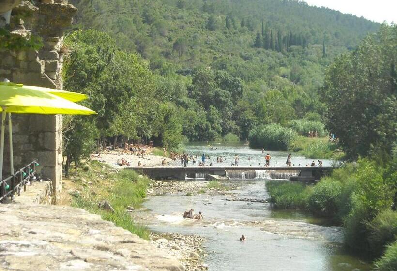 스탠다드 룸, Chez Shona