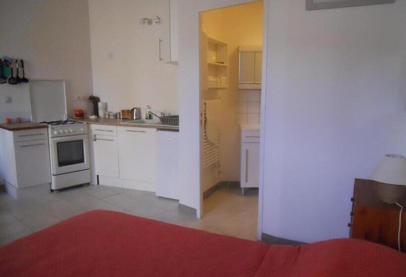 스탠다드 스튜디오, Chez Shona