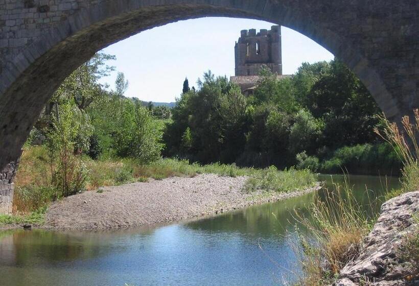 디럭스 스튜디오, Chez Shona