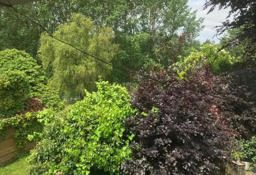 Standard-studio Puutarhanäkymä, B&b De Henehoeve