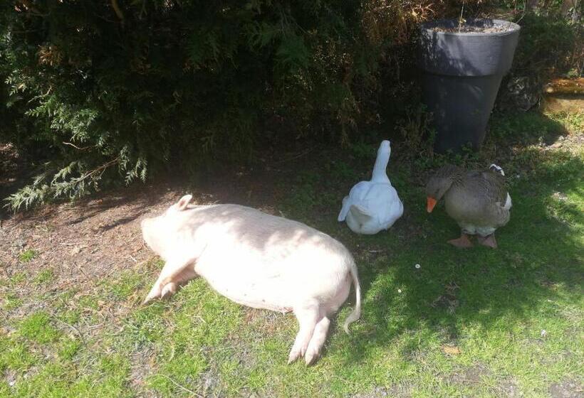 اتاق راحتی, Chambres D Hôtes La Turone