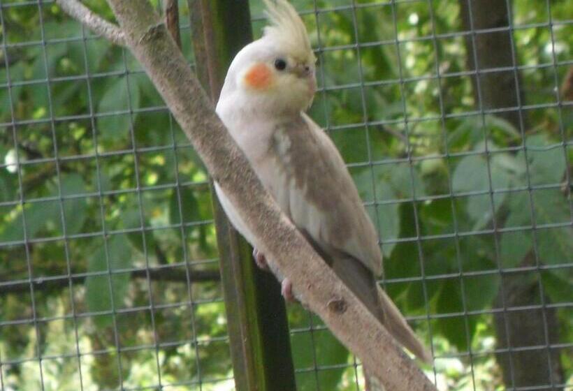 اتاق راحتی, Chambres D Hôtes La Turone