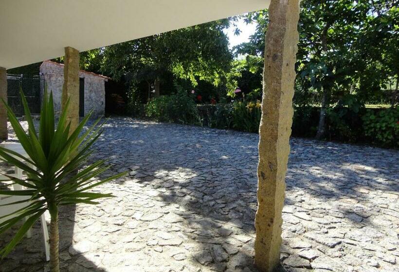 Студия Стандарт, Casa Boavista