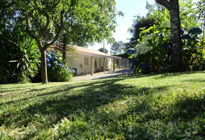 スタンダードスタジオ, Casa Boavista