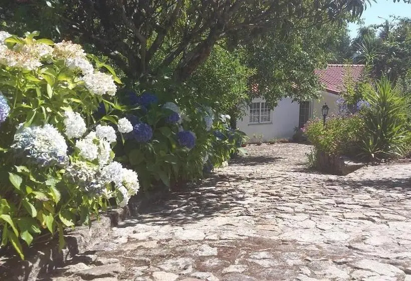 クラシックルーム, Casa Boavista