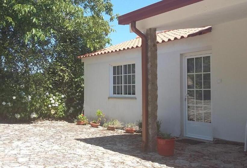 クラシックルーム, Casa Boavista