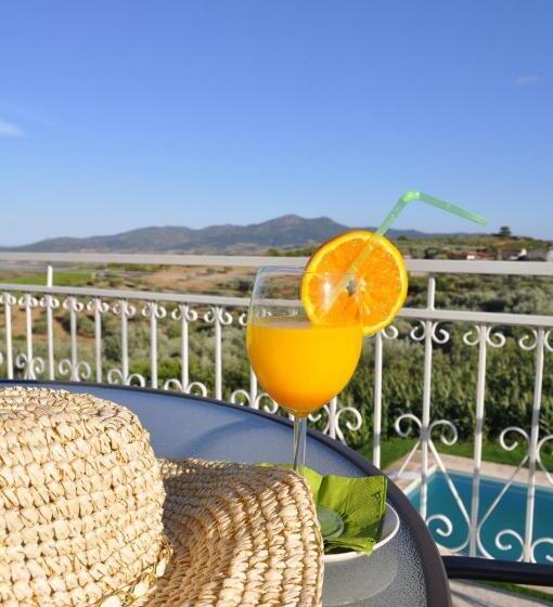 スーペリアスタジオ, Quinta Rota D  Oliveira