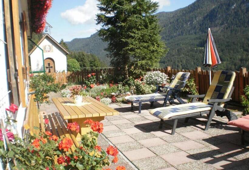 Апартаменты 1 Спальня, Bichlhof Riedenberg