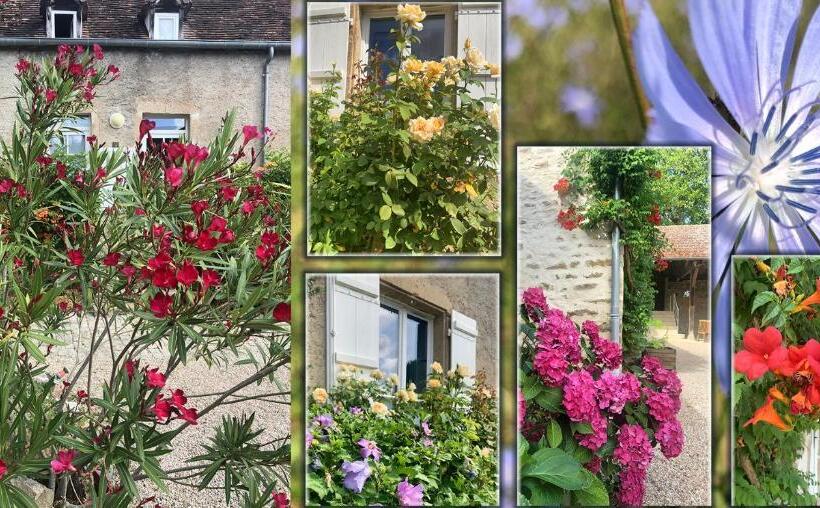 高级大房间, Domaine Les Bertrands