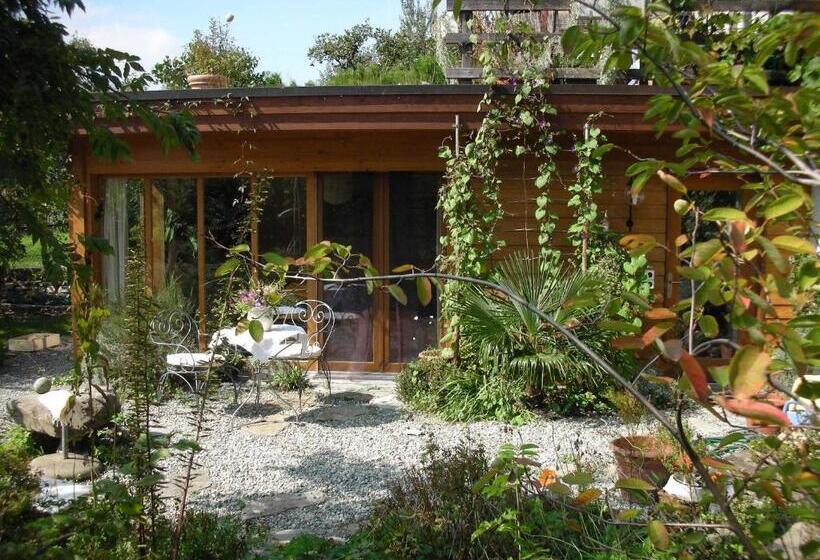 חדר סטנדרט, Dunkel Blaue Maus