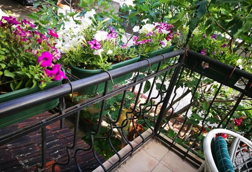 إستوديو قياسى, Paradise