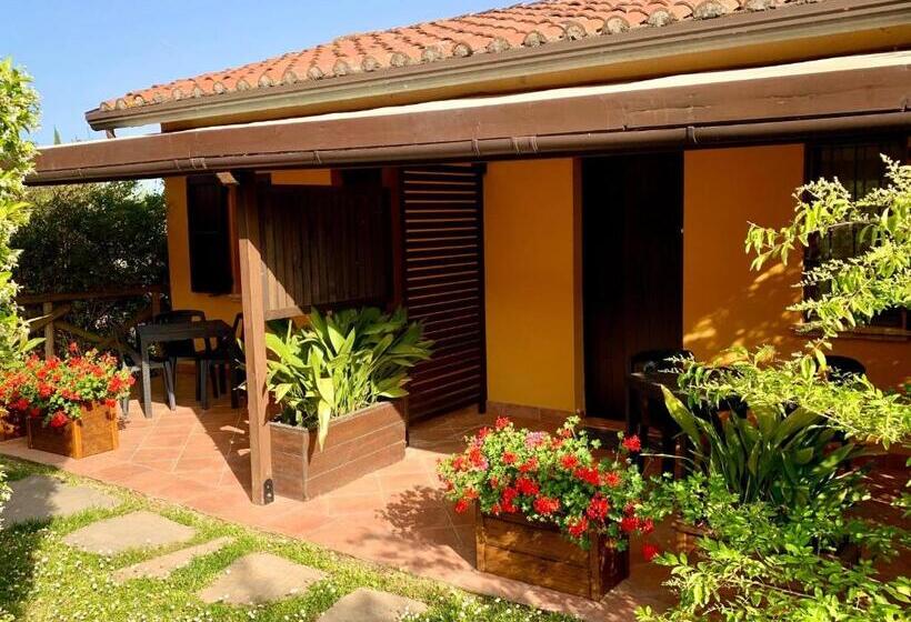 اتاق استاندارد با تراس, Agriturismo San Felicissimo