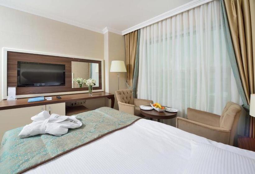 غرفة قياسية, The Sign Kocaeli Thermal Spa Hotel &convention Center