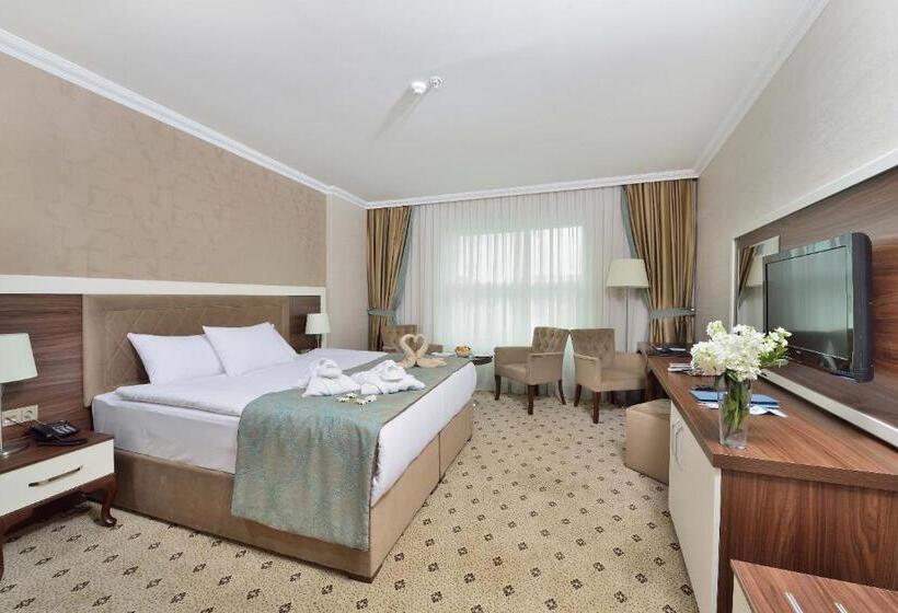 Номер Стандарт, The Sign Kocaeli Thermal Spa Hotel &convention Center