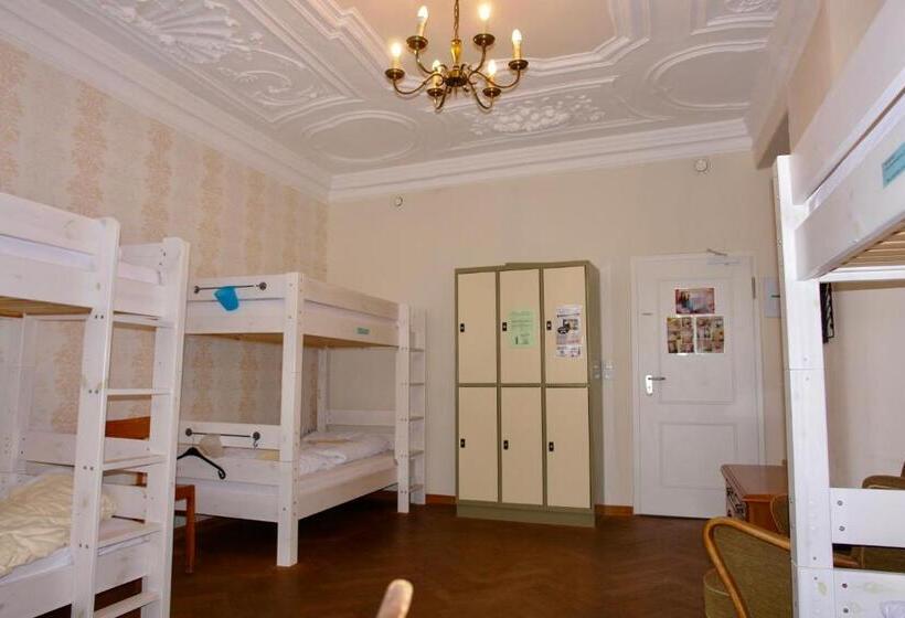 سرير فى غرفة مشتركه, Lotte  The Backpackers