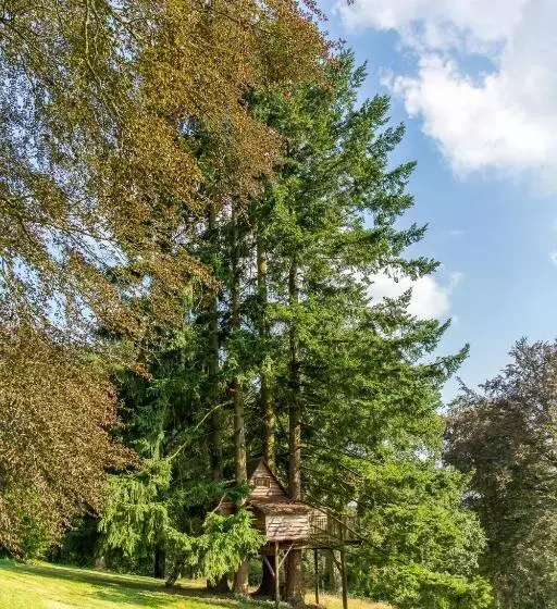 کلبه ییلاقی, Domaine De Ronchinne  Château Et Ecuries