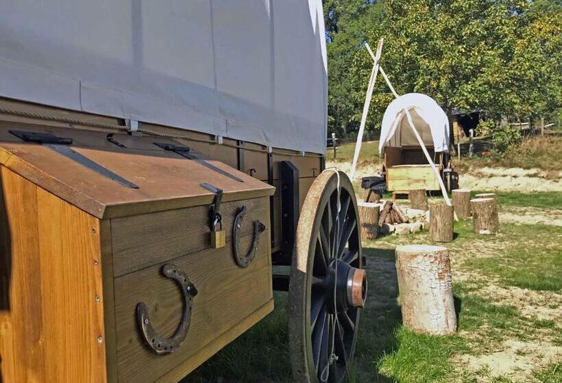 Camera Standard, Domaine De Ronchinne  Château Et Ecuries