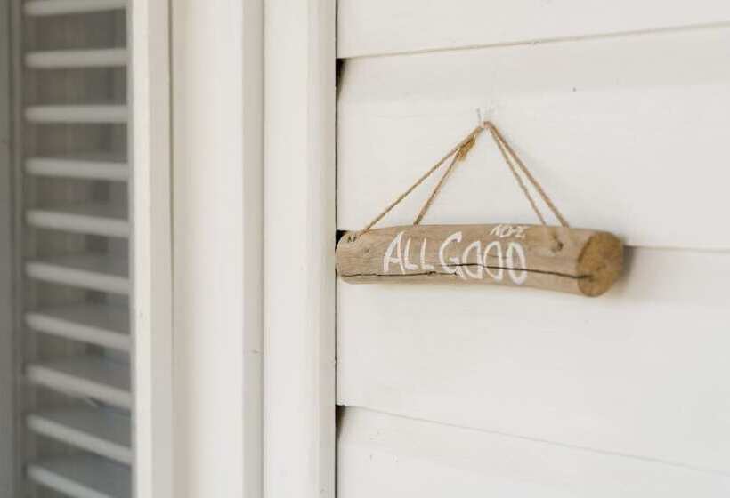 استودیوی سوپریور, Eco Lifestyle & Lodge