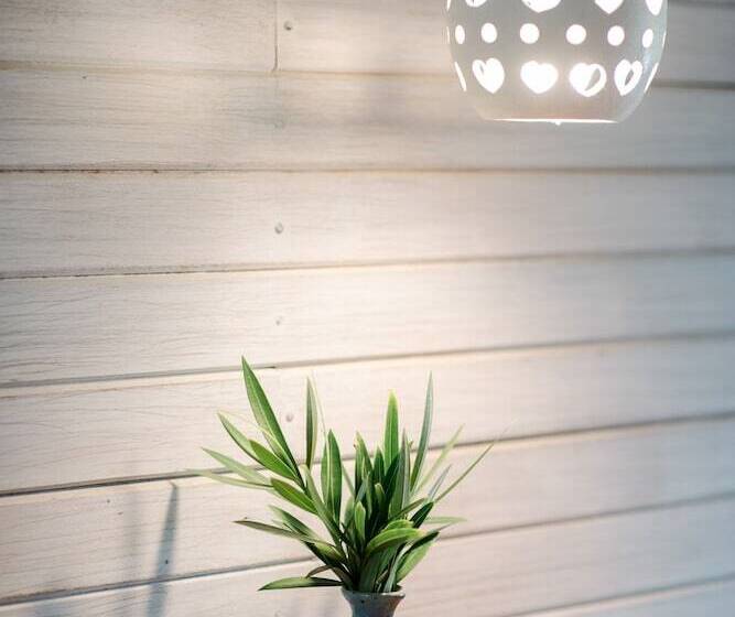 استودیوی سوپریور, Eco Lifestyle & Lodge