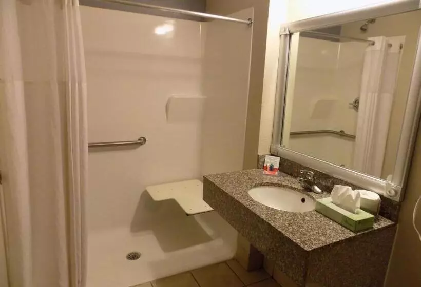 身障者適用キングサイズベッドルーム, Econo Lodge