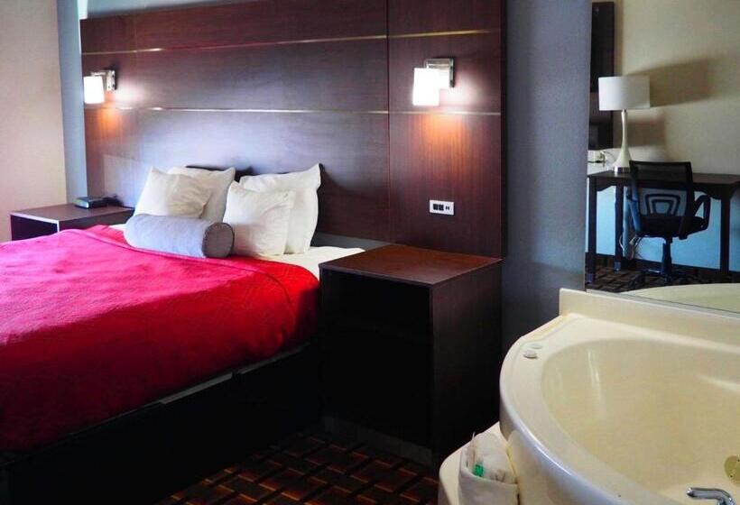 带大床的套房, Econo Lodge