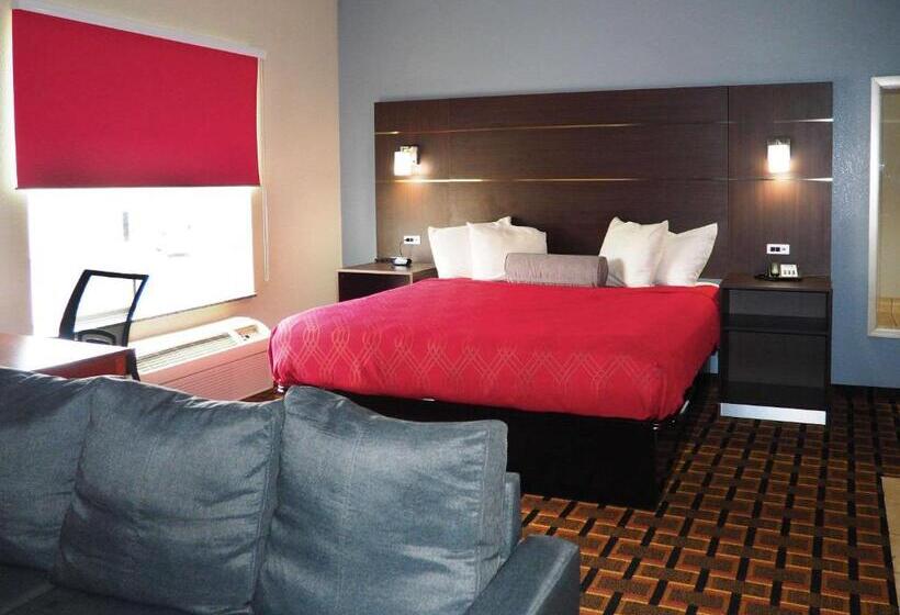 带大床的套房, Econo Lodge