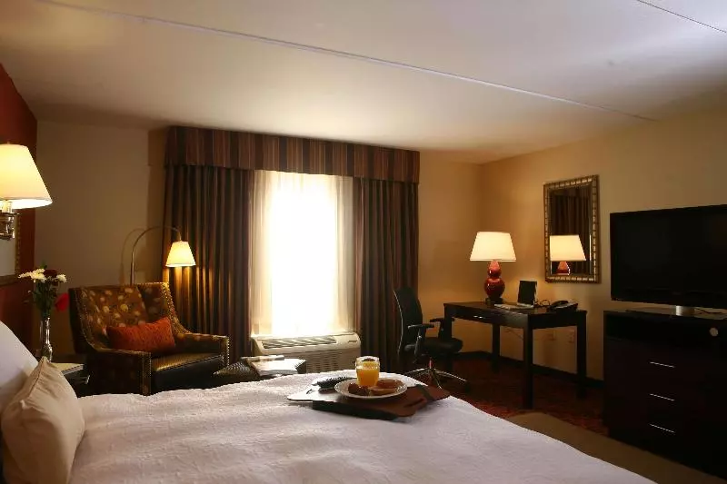 キングサイズベッドのスタンダードルーム, Hampton Inn Atlantacanton
