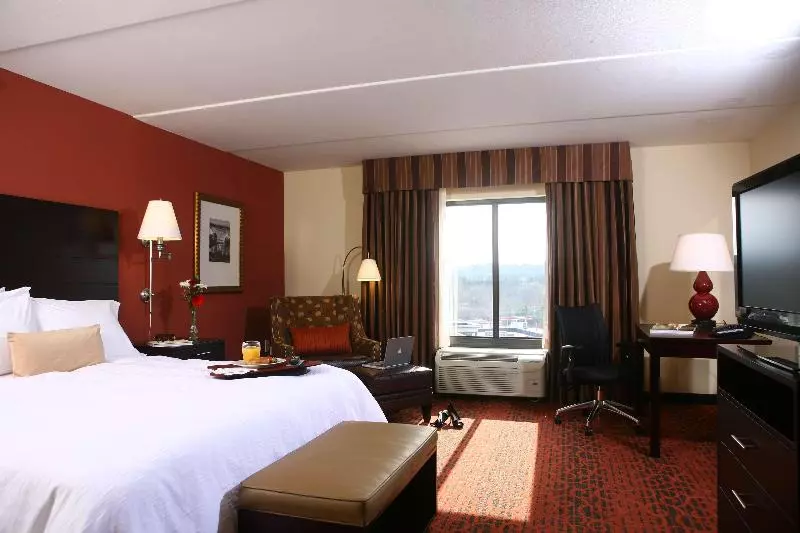 キングサイズベッドのスタンダードルーム, Hampton Inn Atlantacanton