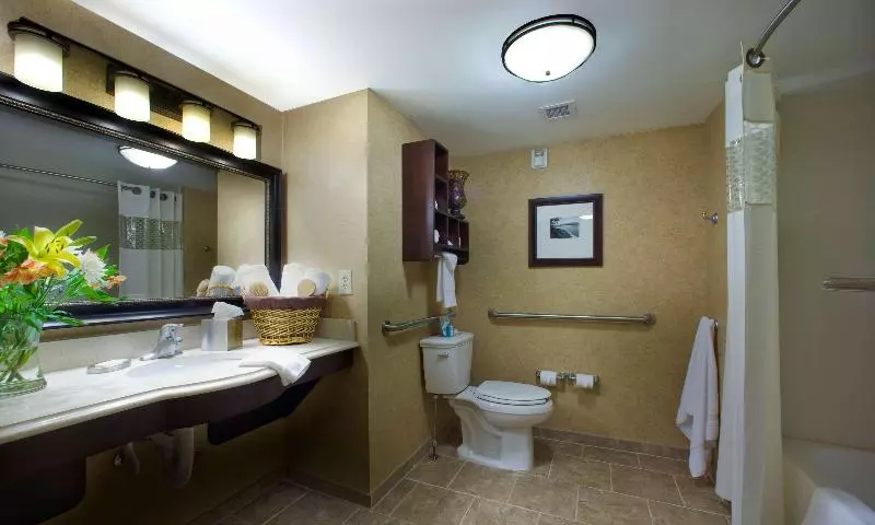 キングサイズベッドのスタンダードルーム, Hampton Inn Atlantacanton