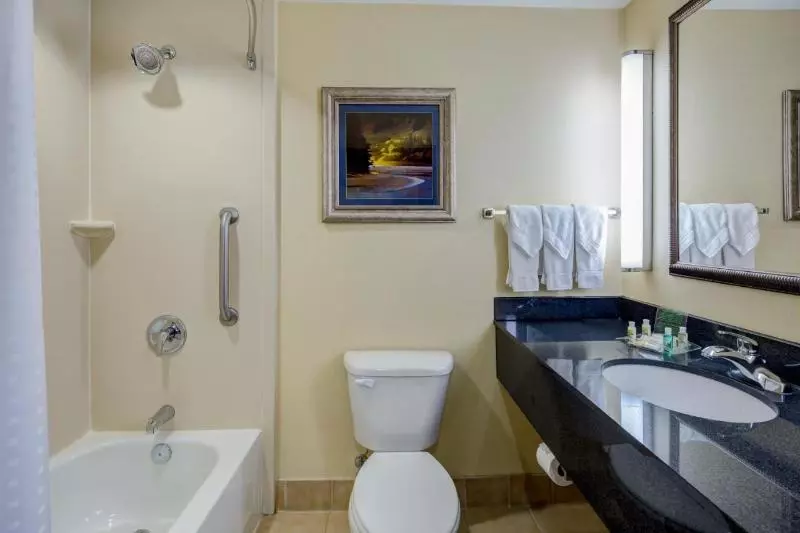 身障者適用キングサイズベッドルーム, Holiday Inn Augusta West I 20, An Ihg
