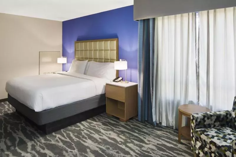 身障者適用キングサイズベッドルーム, Holiday Inn Augusta West I 20, An Ihg