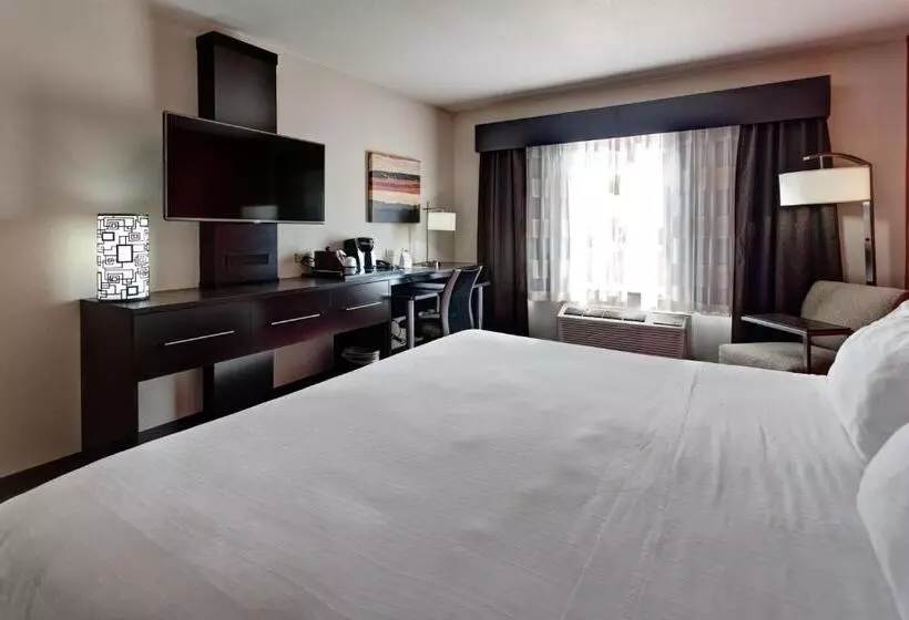 身障者適用キングサイズベッドルーム, Holiday Inn Express Northwest Maize, An Ihg