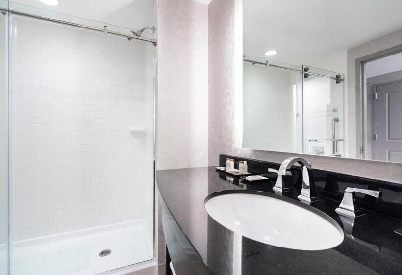 חדר דחוקס עם מיטת קינג, Renaissance Boston Patriot Place