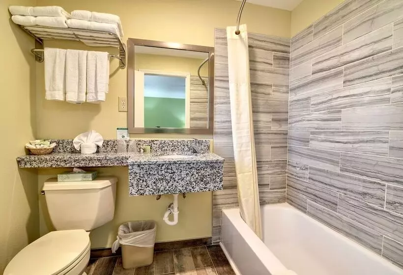 Standard-huone Queen-vuode, Roosevelt Inn And Suites Saratoga Springs