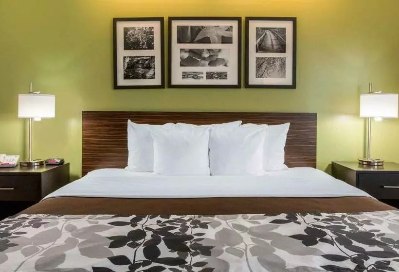 キングサイズベッドのスタンダードルーム, Sleep Inn & Suites