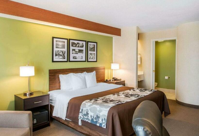 اتاق استاندارد با تخت بزرگ, Sleep Inn & Suites