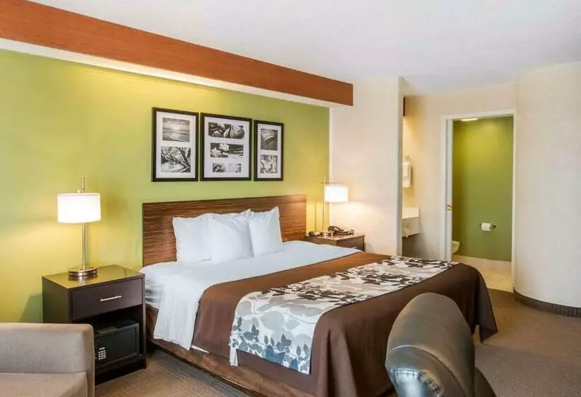キングサイズベッドのスタンダードルーム, Sleep Inn & Suites