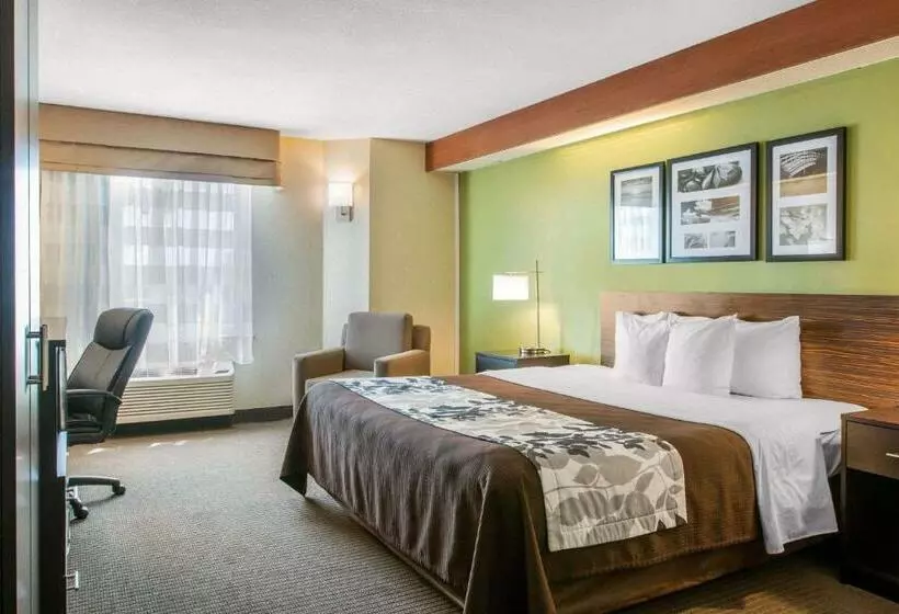キングサイズベッドのスタンダードルーム, Sleep Inn & Suites