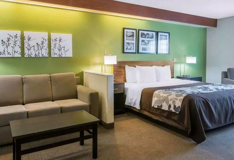 キングサイズベッドのスイートルーム, Sleep Inn & Suites