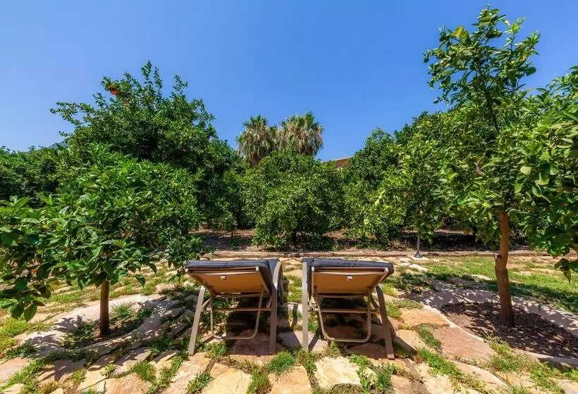 Suite with Terrace, Finca Ca S Curial Agroturismo Adults Only