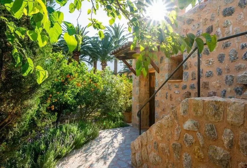 Suite with Terrace, Finca Ca S Curial Agroturismo Adults Only