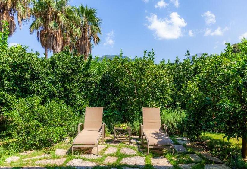 Suite with Terrace, Finca Ca S Curial   Agroturismo   Adults Only