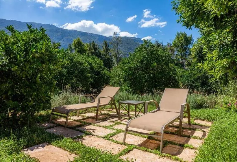 Superior Room with Terrace, Finca Ca S Curial Agroturismo Adults Only