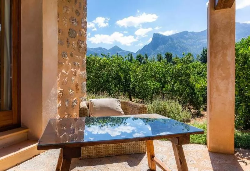 Suite with Terrace, Finca Ca S Curial Agroturismo Adults Only