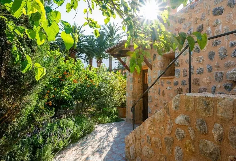 Suite with Terrace, Finca Ca S Curial Agroturismo Adults Only