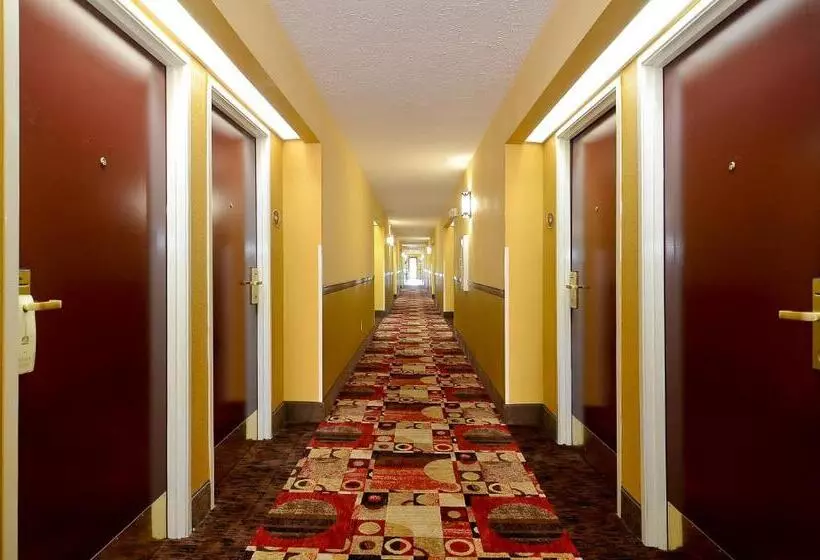 Sviitti King-vuode, Best Western Canton Inn
