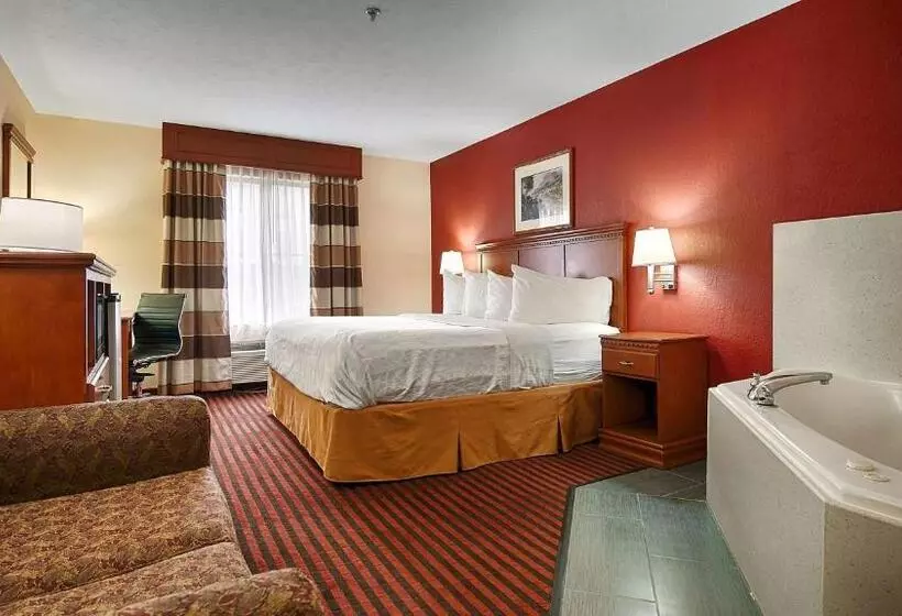 Standard-huone King-vuode, Best Western Canton Inn
