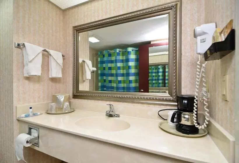 Standard-huone, Best Western Canton Inn
